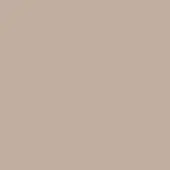 Dove grey color swatch, matte finish, uniform tone, solid background, consistent coloration, neutral palette, flat surface, even texture.